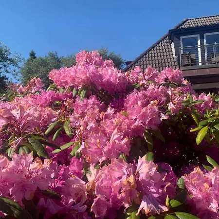 Duena 1 Wangerooge
